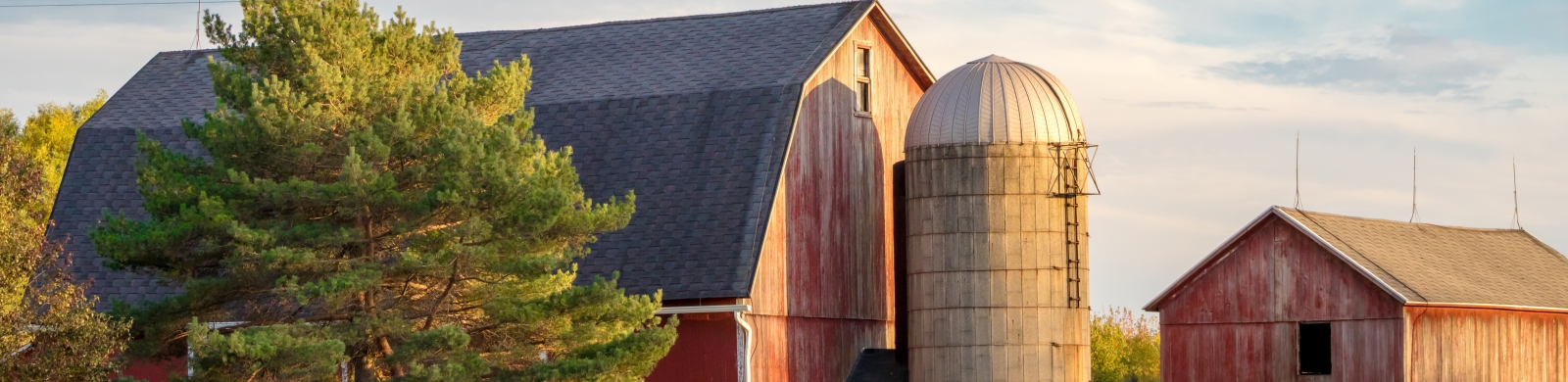 Photo of barn and silo.